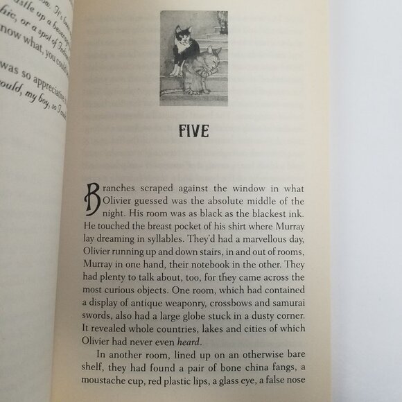 Cat's Eye Corner by Terry Griggs (2000 Trade Paperback) Cat's Eye Corner book 1 - Picture 8 of 13